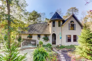 Huge cabin, with ferns growing around