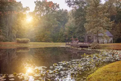 Sunsetting at our Central Pond, lily pads in the water, gazebo in background