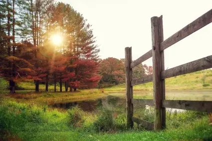 Sun setting at one of our ponds