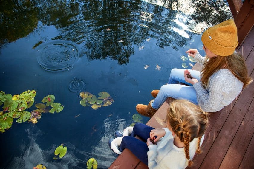 Children sitting at the dock feeding fish