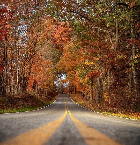 Winding country road surrounded by vibrant fall foliage in the Hocking Hills region.