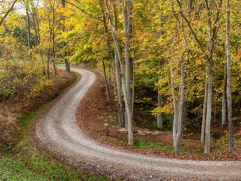 Winding gravel road through colorful fall woods in Hocking Hills  