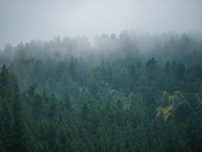 What to Do in Hocking Hills on a Rainy Day: Top Indoor Activities