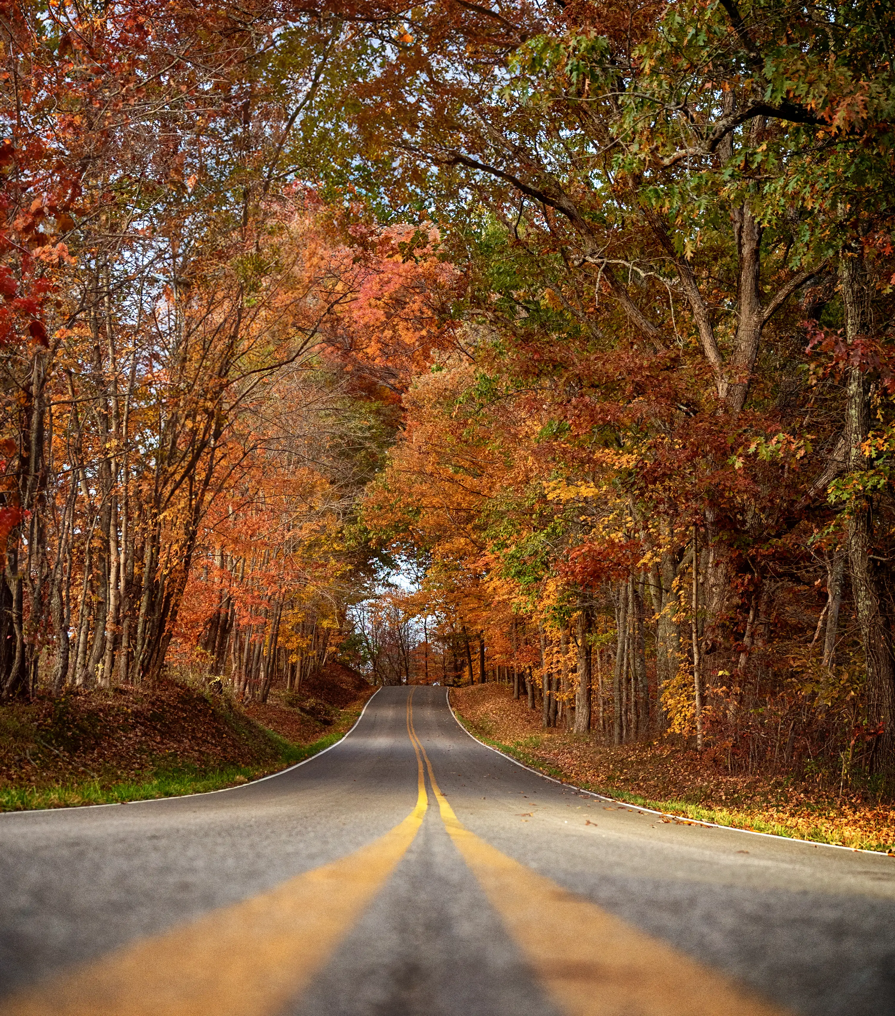 Scenic country road surrounded by vibrant fall foliage in the Hocking Hills
