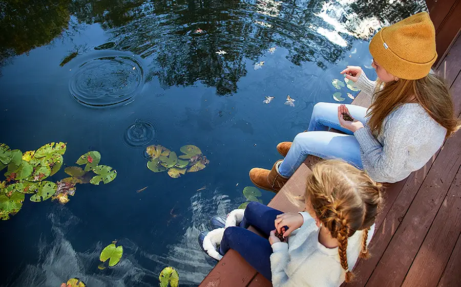 Sisters feeding fish Sisters feeding fish from a private pondside deck