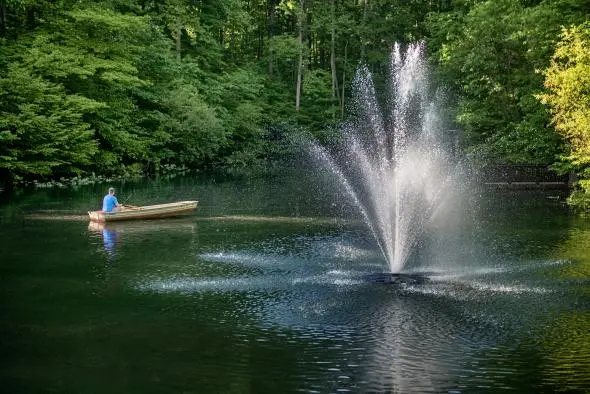 Man fishing in a row boat at a found.