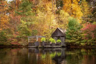 Boat House dog on the water, fall foliage reflecting in the water