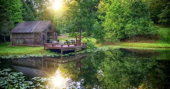 Dock with lake and lovely trees and greenery srrounding