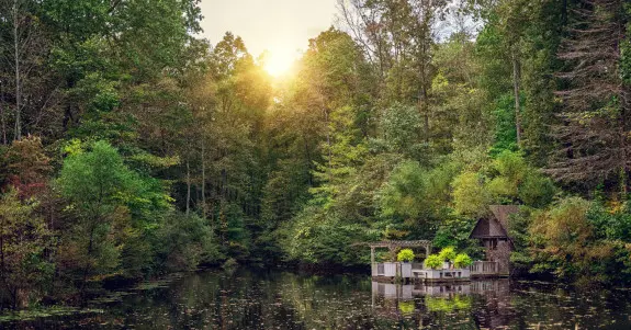 Boat House dock on the lake with trees surrounding, vibrate summer green colors on the trees