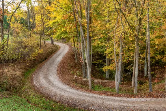 Winding gravel road with trees surrounding
