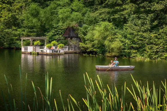 Father and son fishing in a row boat on a pond, trees surrounding