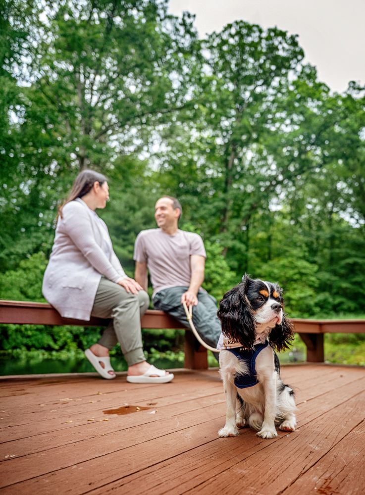 Couple sitting on a bench, their dog sits nearby.