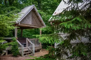 Greenery surrounding a gazebo with hot tub