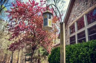 A birdhouse hangs off a shepherd hook, a blossoming tree in the background